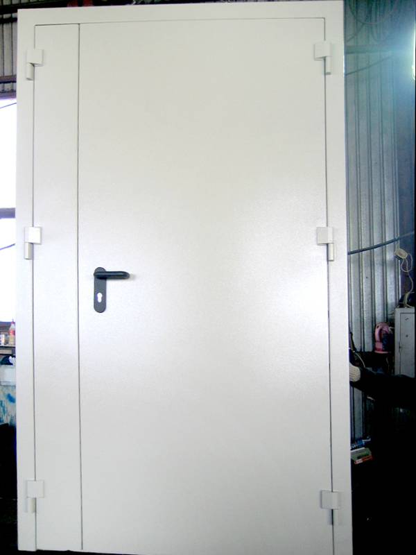 Пожаростойкая дверь с порошком