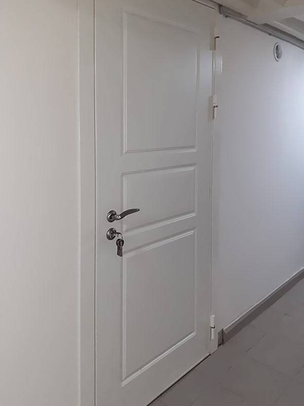 Дверь с МДФ накладкой Дверь с МДФ накладкой